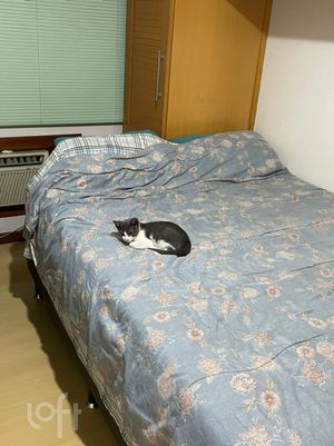 Image 13 - 304801