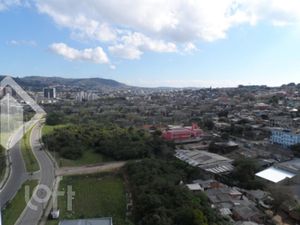 Image 41 - 305069