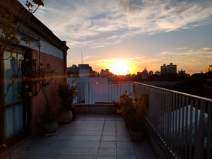 Image 35 - 305145