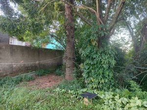 Image 0 - 305177