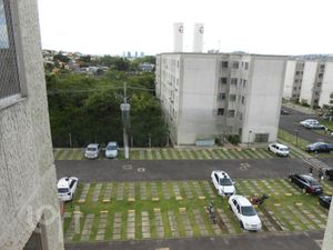 Image 14 - 305205