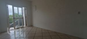 Image 16 - 305462