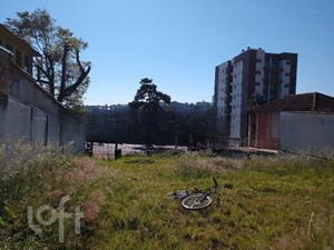 Image 12 - 305524