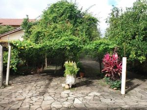 Image 19 - 305533