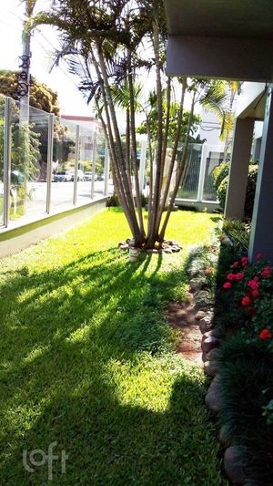 Image 11 - 305586