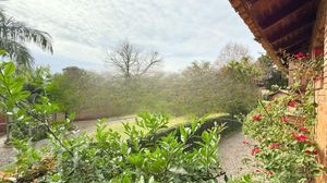 Image 55 - 305961
