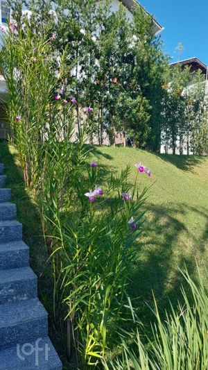 Image 9 - 306383