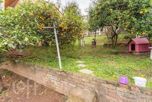 Image 36 - 306455