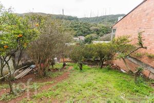 Image 37 - 306455