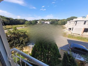 Image 17 - 306468