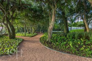 Image 21 - 306507
