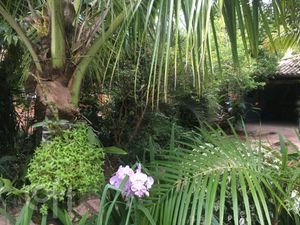 Image 22 - 306639