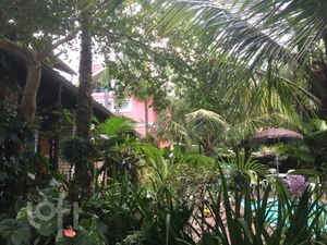 Image 19 - 306639