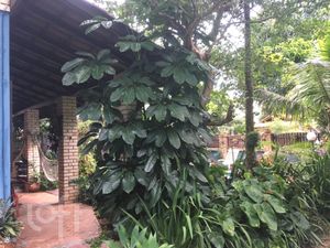 Image 21 - 306639