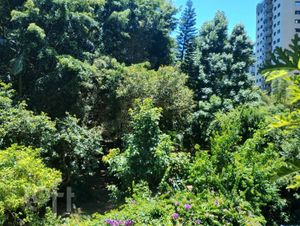 Image 16 - 306708