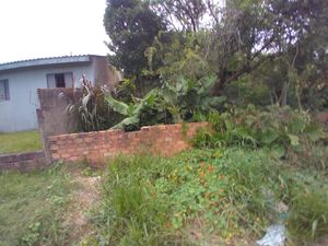 Image 0 - 306729
