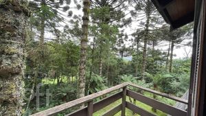Image 13 - 306758