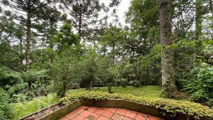 Image 15 - 306758