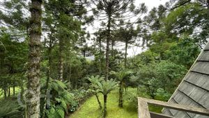 Image 14 - 306758