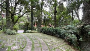 Image 16 - 306758