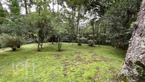 Image 18 - 306758