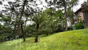 Image 17 - 306758