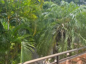 Image 11 - 306830