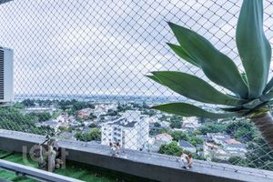 Image 8 - 306860