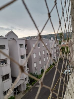 Image 9 - 306965
