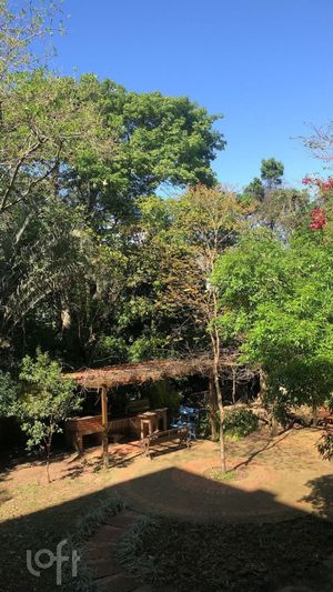Image 13 - 306992