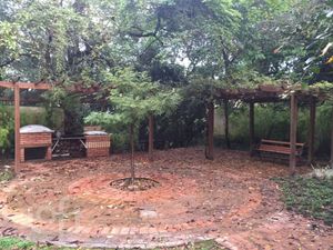 Image 19 - 306992