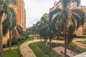 Image 17 - 308068
