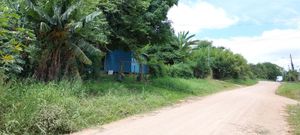 Image 10 - 308117