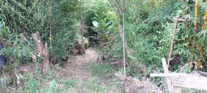 Image 7 - 308117