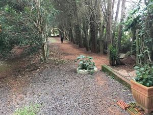 Image 4 - 308195