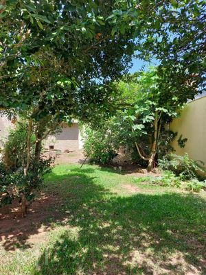 Image 13 - 308235