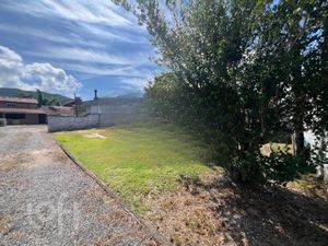 Image 39 - 308354