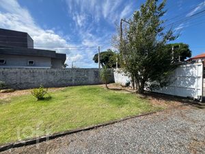 Image 6 - 308354