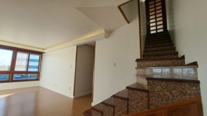 Image 22 - 308482