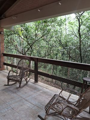 Image 23 - 308552