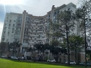 Image 38 - 308555
