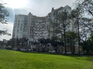 Image 37 - 308555