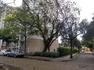 Image 40 - 308555