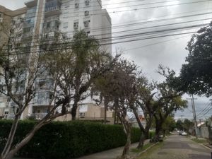 Image 42 - 308555
