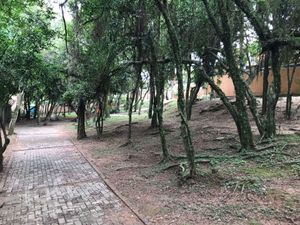 Image 26 - 308632