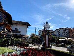 Image 21 - 308679