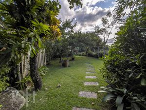 Image 51 - 308783