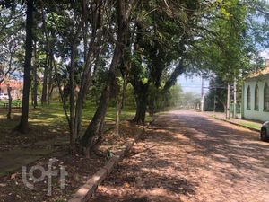 Image 19 - 308846