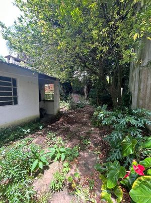 Image 20 - 309127