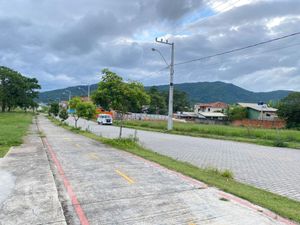 Image 16 - 309246